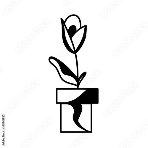 plant in a pot