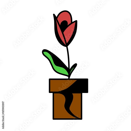 rose in a vase