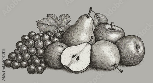 Detailed monochrome drawing showcasing a variety of fresh fruits arrangement