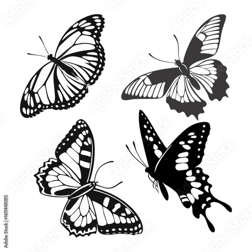 Detailed Monochrome Admiral Butterfly Illustrations with Wings Spread in Elegant Poses