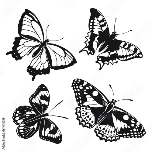 Intricate Black and White Admiral Butterfly Silhouettes in Various Artistic Designs