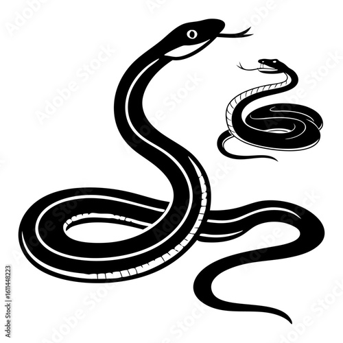 Black and White Aesculapian Snake Illustration Featuring Two Stylized Serpents with Unique Designs