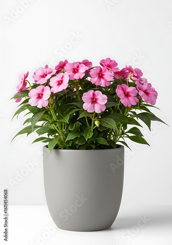 Wallpaper Mural Silent Bloom Torontodigital.ca