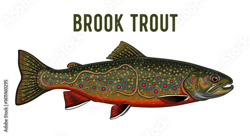 Brook Trout Isolated Fish on White Nature.