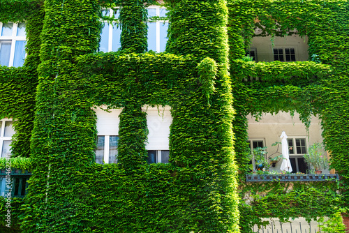 Canvas Print Eine mit Efeu bewachsene Hausfassade eines Mehrfamilienhaus in Bratislava, Slowa