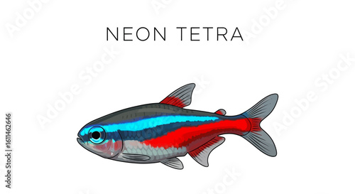 Neon Tetra Fish Freshwater Aquarium Pet Isolated.