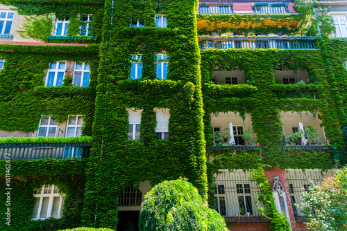 Photography Eine mit Efeu bewachsene Hausfassade eines Mehrfamilienhaus in Bratislava, Slowa