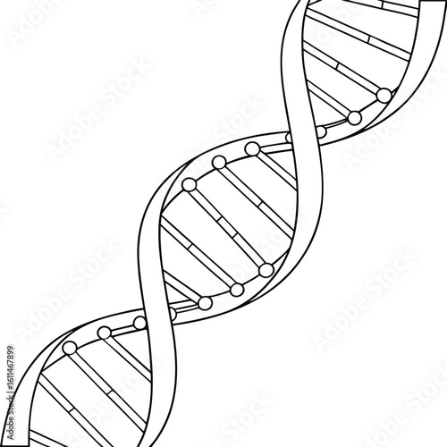 Black and white illustration of a double helix D N A strand genetics biology