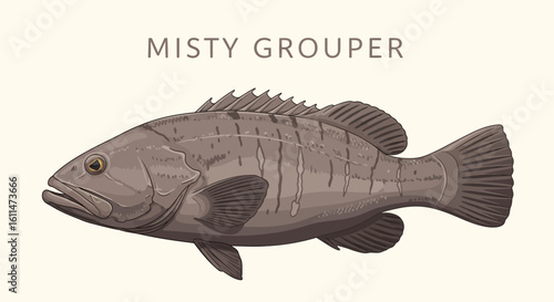 Misty Grouper Fish Sea life illustration.