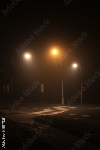 foggy night traffic in the city