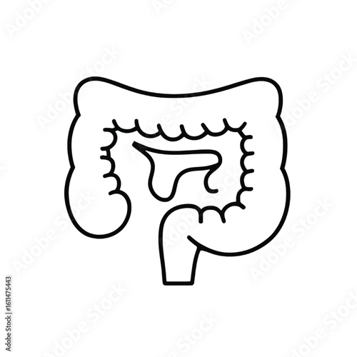 Human Digestive Tract Line Art Icon – Large Intestine and Colon Anatomy Illustration
