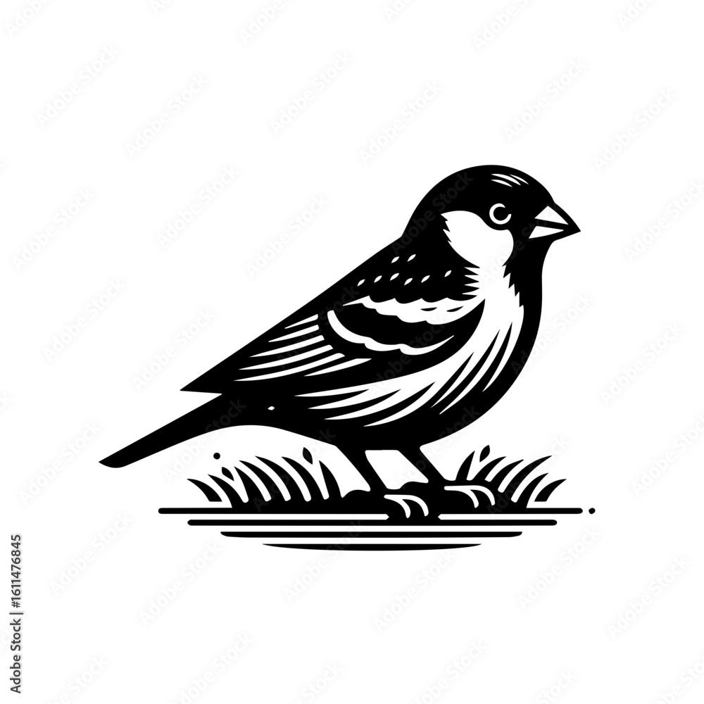 Obraz premium bird on a branch