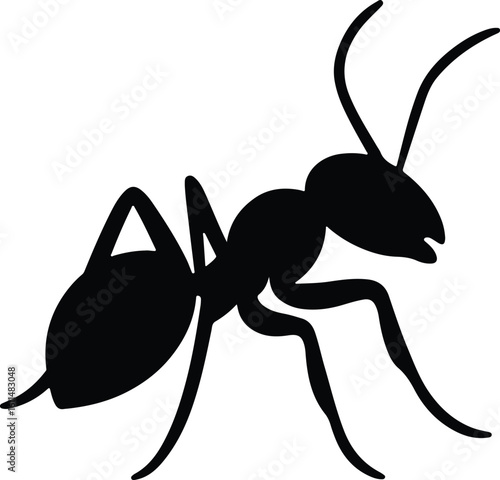 Silhouette ant insect crawling isolated graphic black vector illustrator