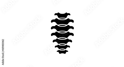 Spine minimalist in a white background beautiful black and white