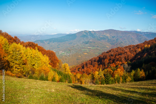 A vibrant autumn landscape near Kopaonik, Serbia, showcasing colorful hills and clear skies.