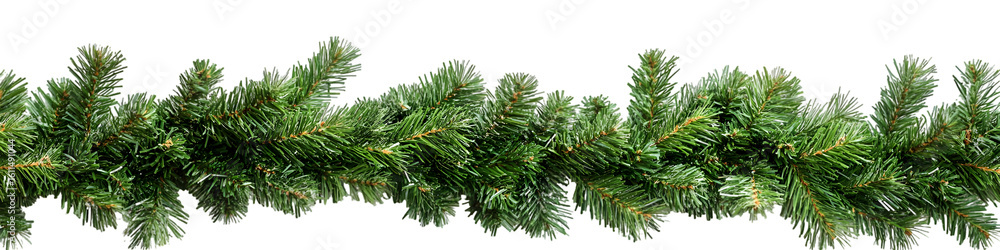 green grass on white background green grass on white background