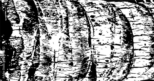 Grunge palm bark texture isolated on transparent background. Vector illustration