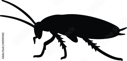 Silhouette cockroach insect pest control graphic design vector illustrator