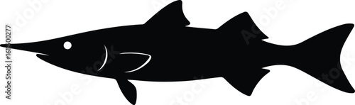 Silhouette garfish vector illustration of saltwater fish swimming gracefully