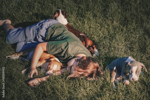 Pit bull and border collie mix puppies play with a little boy in the grass