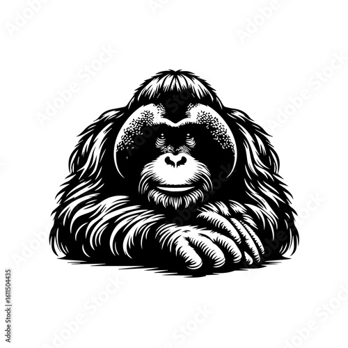 A detailed illustration of an orangutans face