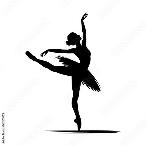 silhouette of a ballerina mid pirouette