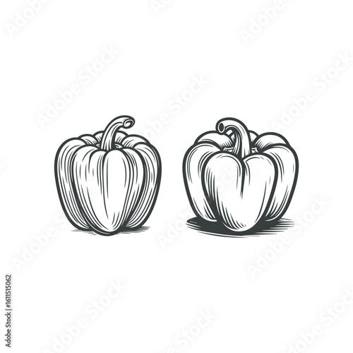  Bell Pepper Silhouettes, Food Icons, Recipe Designs, Organic Product Packaging, Vegetable Illustrations Black and White
