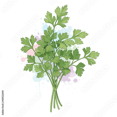 Fresh Parsley Watercolor Sublimation