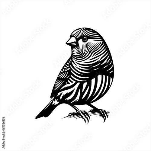 Black and white linocut style illustration of a small bird perched