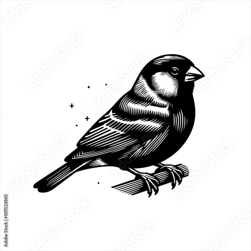 Black and white illustration of a small bird perched on a branch