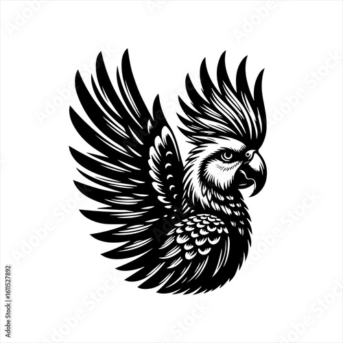 Black and white illustration of a cockatoo with spread wings