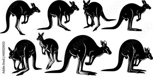 Set of Kangaroo Silhouette Vector in Multiple Dynamic Poses on White Background
