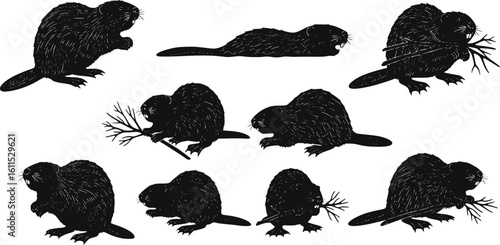 Beaver Silhouette Vector Set – Wildlife Clipart Collection on White Background
