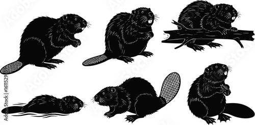 Beaver Silhouette Vector Set – Wildlife Clipart Collection on White Background
