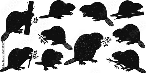 Beaver Silhouette Vector Set – Wildlife Clipart Collection on White Background
