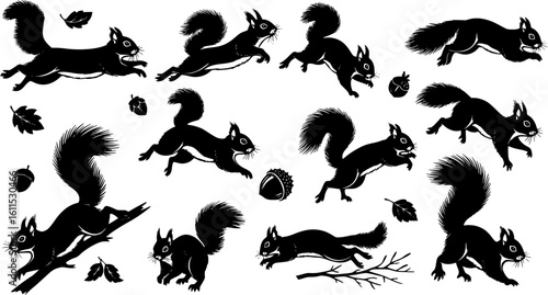 Dynamic Running Squirrel Silhouette Vector Set with Multiple Action Poses and Decorative Elements
