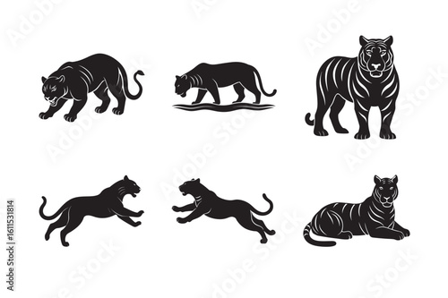 silhouette tiger walking stealthily set bundle on white background