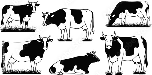 Vector Set of Cows in Different Poses with Grass Silhouettes — Grazing Meadow Animals

