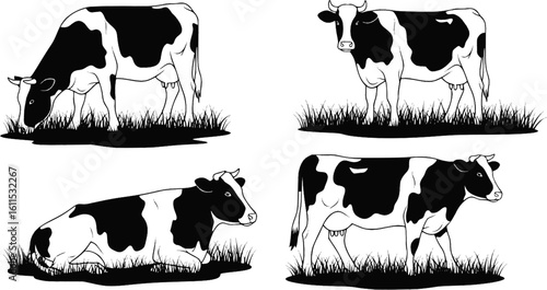 Vector Set of Cows in Different Poses with Grass Silhouettes — Grazing Meadow Animals
