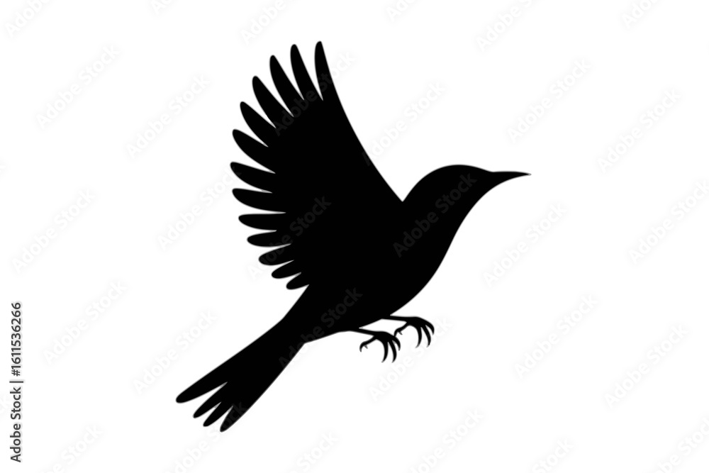 Fototapeta premium Bird in Flight Silhouette flying wings