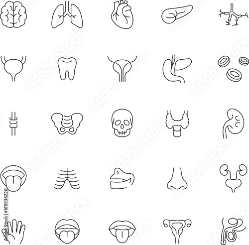 Medical organs line icon set. Vector pictograms of body parts, anatomy, kidney, pancreas, intestine, thyroid, bladder, pelvis, skeleton, joint, tongue, hand, nose, mouth, thin linear illustration