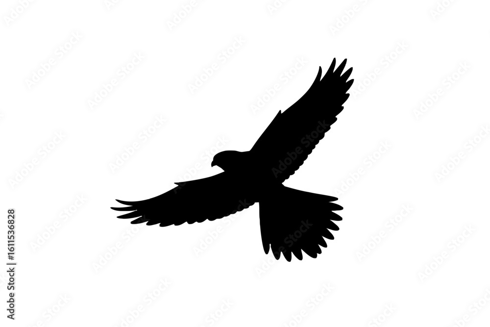 Elegant Swan Gliding Gracefully bird water