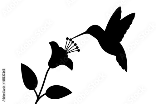 Hummingbird feeding on flower nectar nature