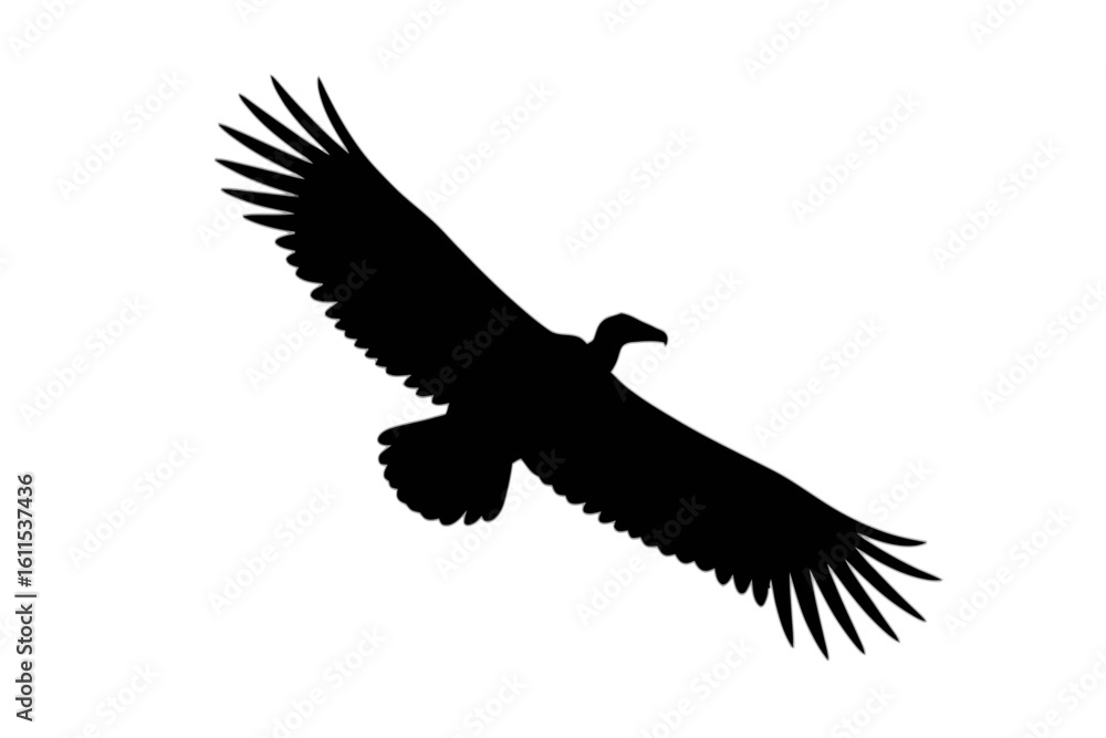 Majestic Condor Soaring Through Sky bird silhouette