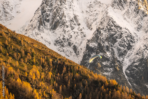 Autumnal scenery of a paraglider flying over a forest with Chamonix mountains as a backdrop, Alps, France.