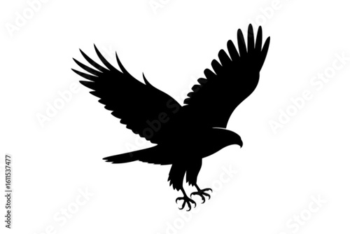 Majestic Eagle Descending with Wings Spread bird of prey