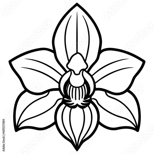 Orchid Blossom Line Art