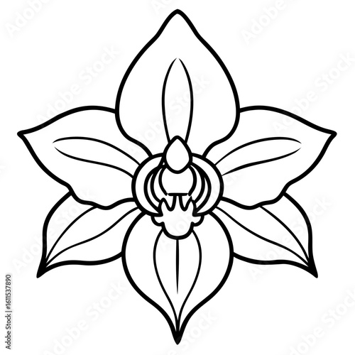 Orchid Blossom Line Art