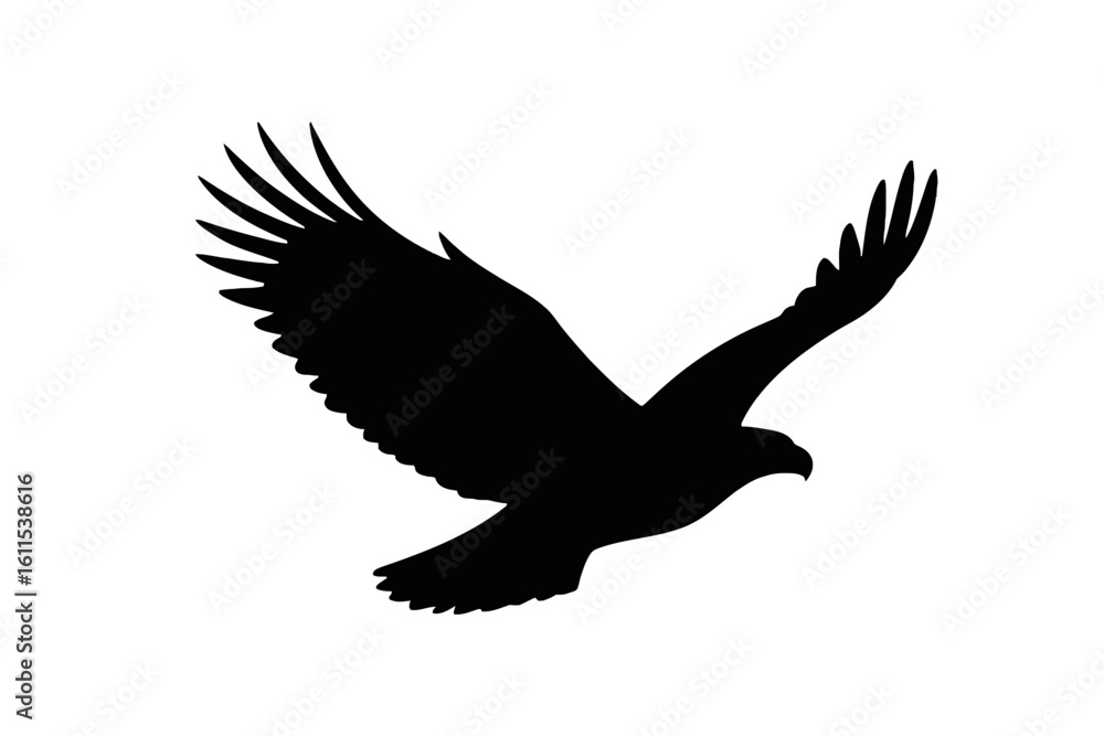 Fototapeta premium Soaring Eagle Silhouette bird flying