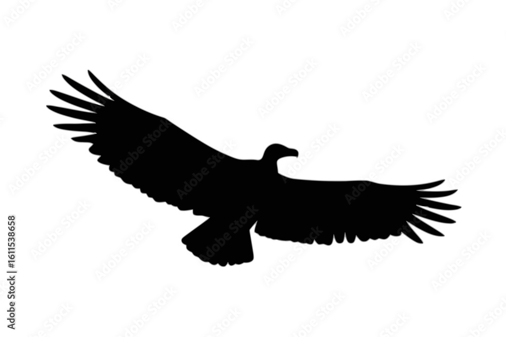 Naklejka premium Soaring Eagle Silhouette bird flying